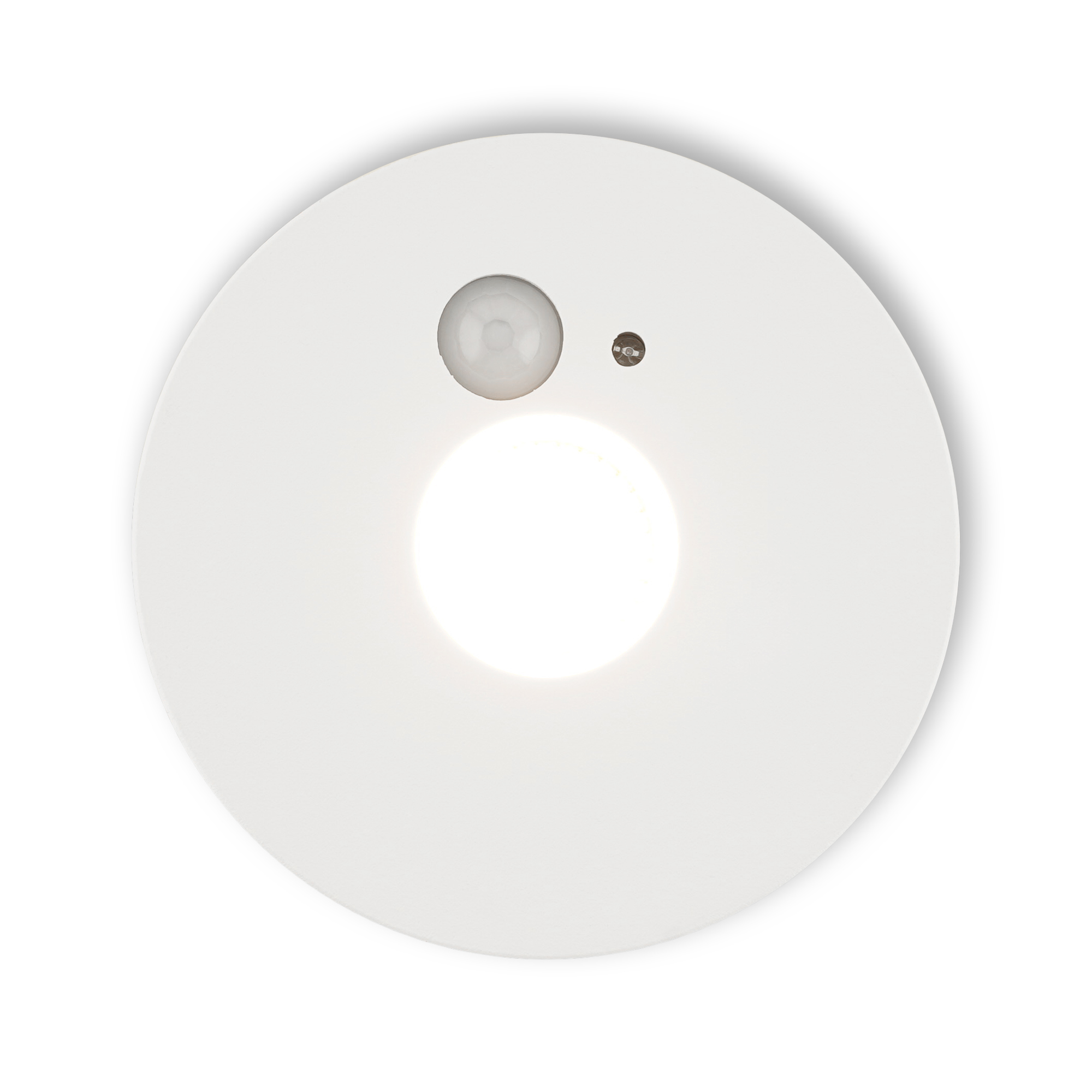 Noto_top_lighton.jpg Noto_top_lighton.jpg