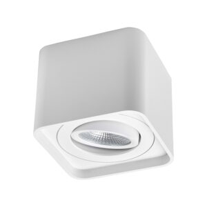 Led opbouwspot wit kantelbaar